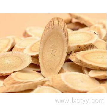 astragalus membranaceus extract tea